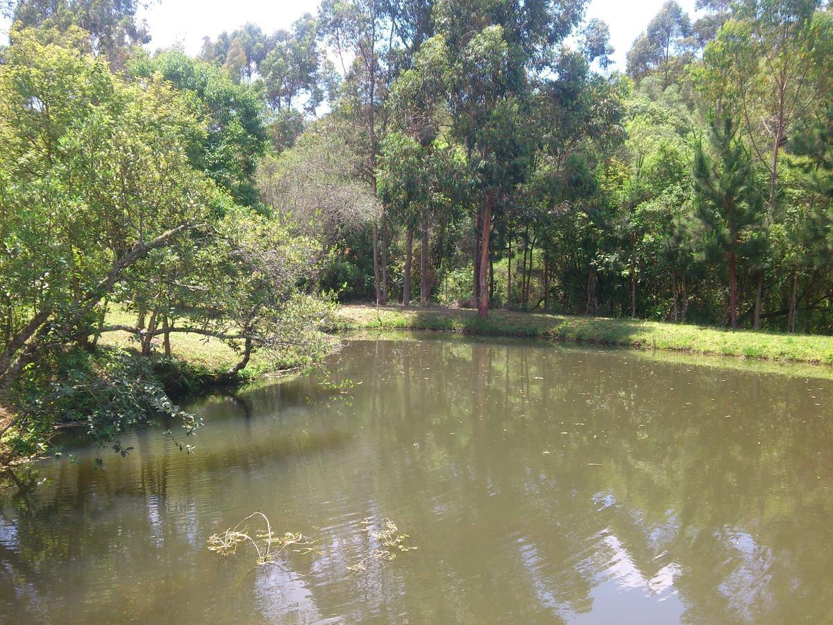 Pousada Ilhas Do Sol Senador Amaral الغرفة الصورة